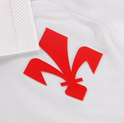 Camisa Alternativa Fiorentina 2024/25
